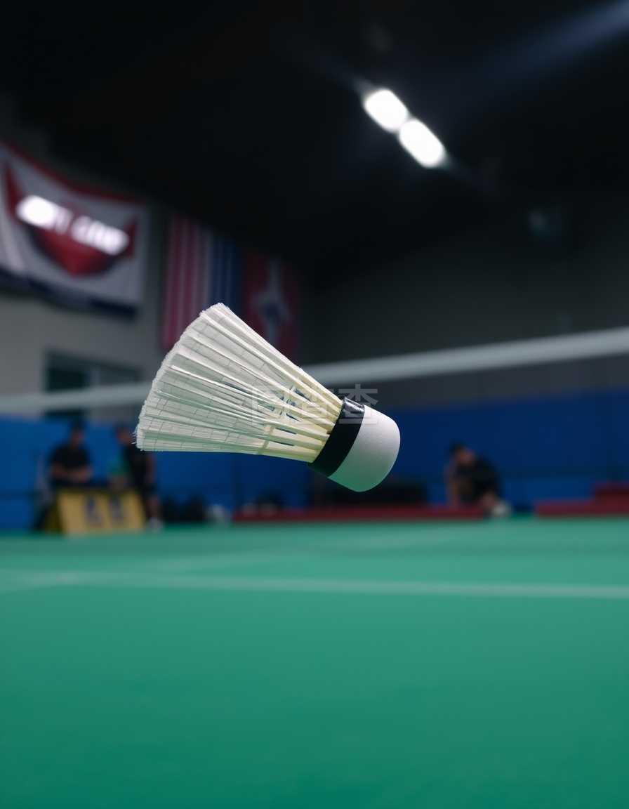 往往来自 往往来自